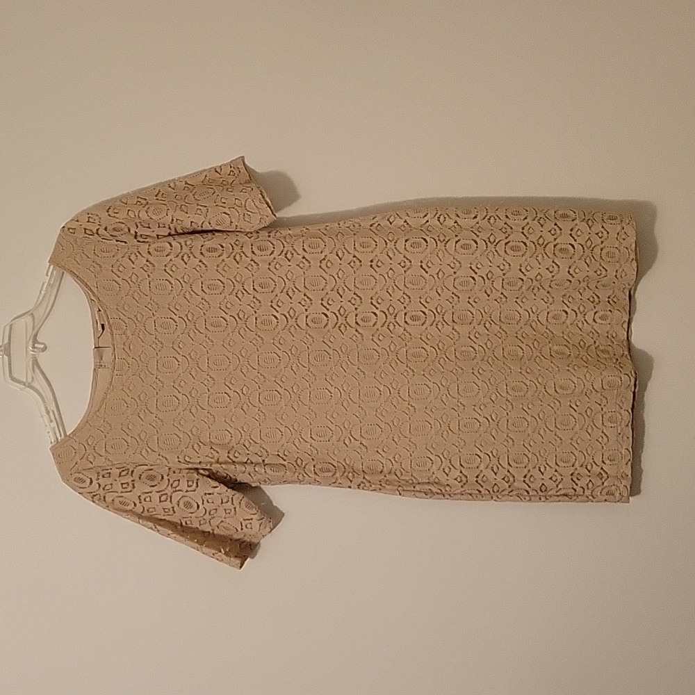 Banana Republic Short Sleeve, Lace Dress, Size 12